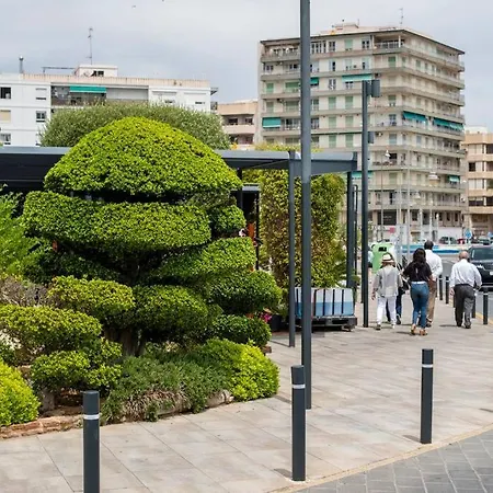 Acogedor A Pocos Metros De La Playa Santa Pola